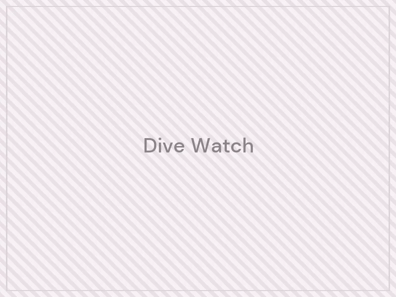 Dive Watch — product image placeholder for the Watches category